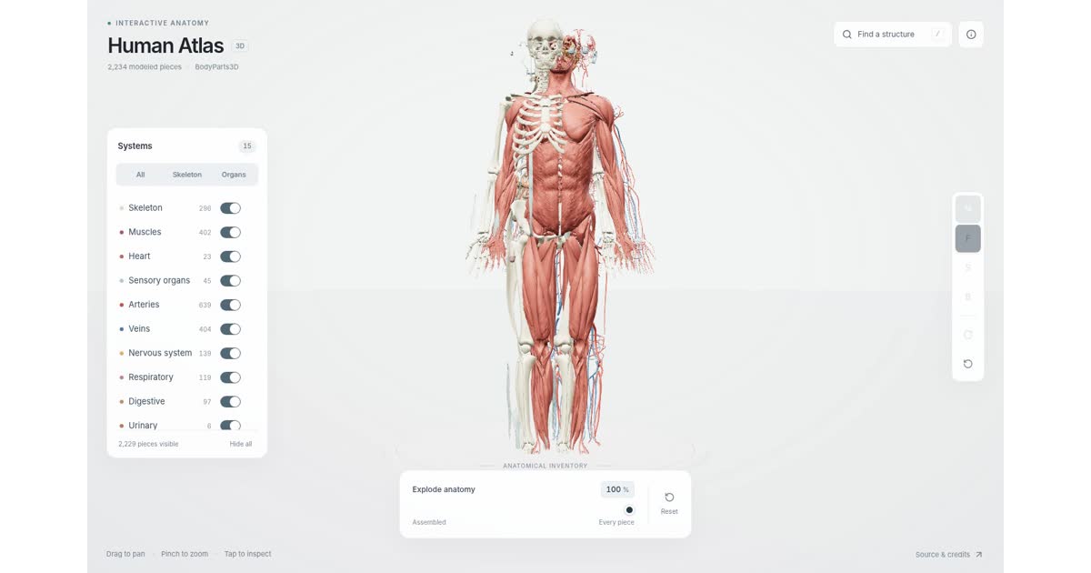 Human Atlas: AI-подпомогнат 3D атлас, в който разглобяваш човешкото тяло