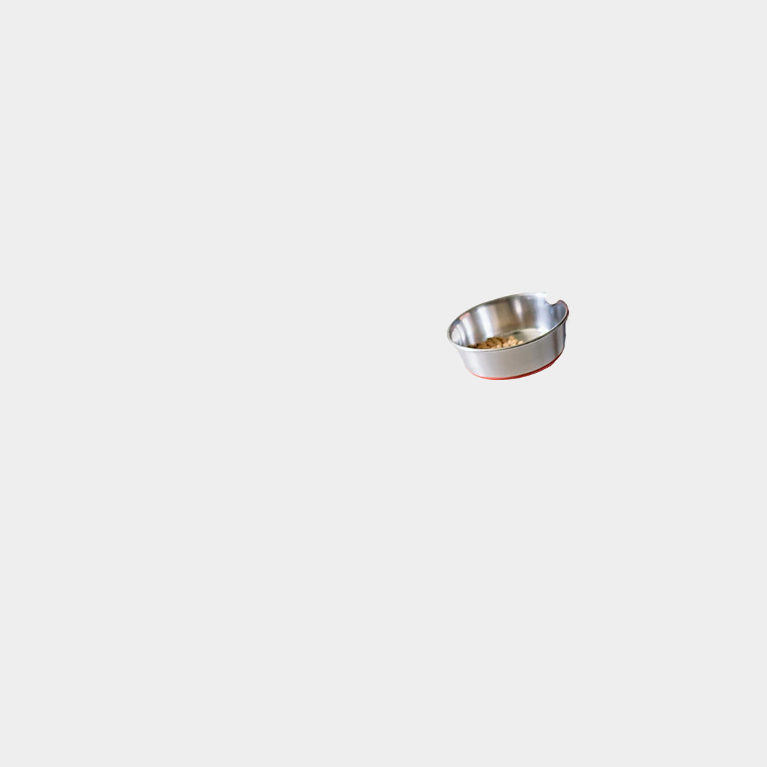 MultiMatte — демонстрация: Feyn / bowl